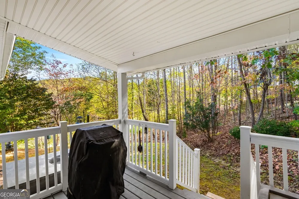 295 White Oak DR Warne, NC 28909