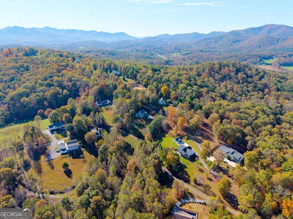 295 White Oak DR Warne, NC 28909