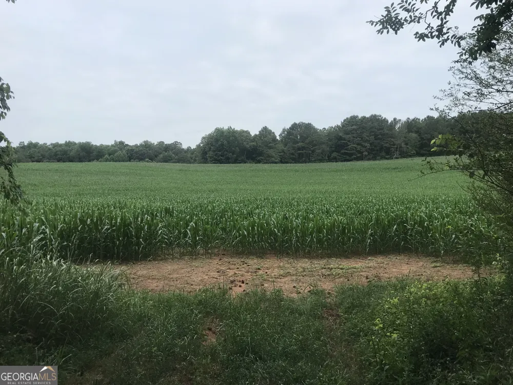 0 Cleveland Hwy Cohutta, GA 30710