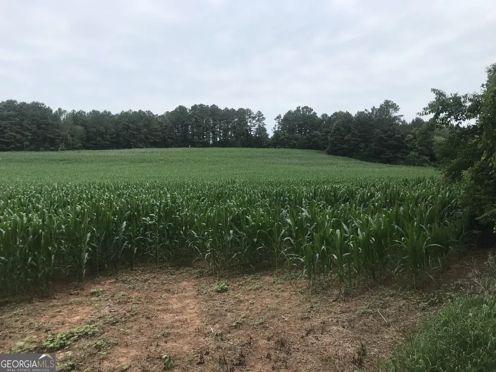 0 Cleveland Hwy Cohutta, GA 30710