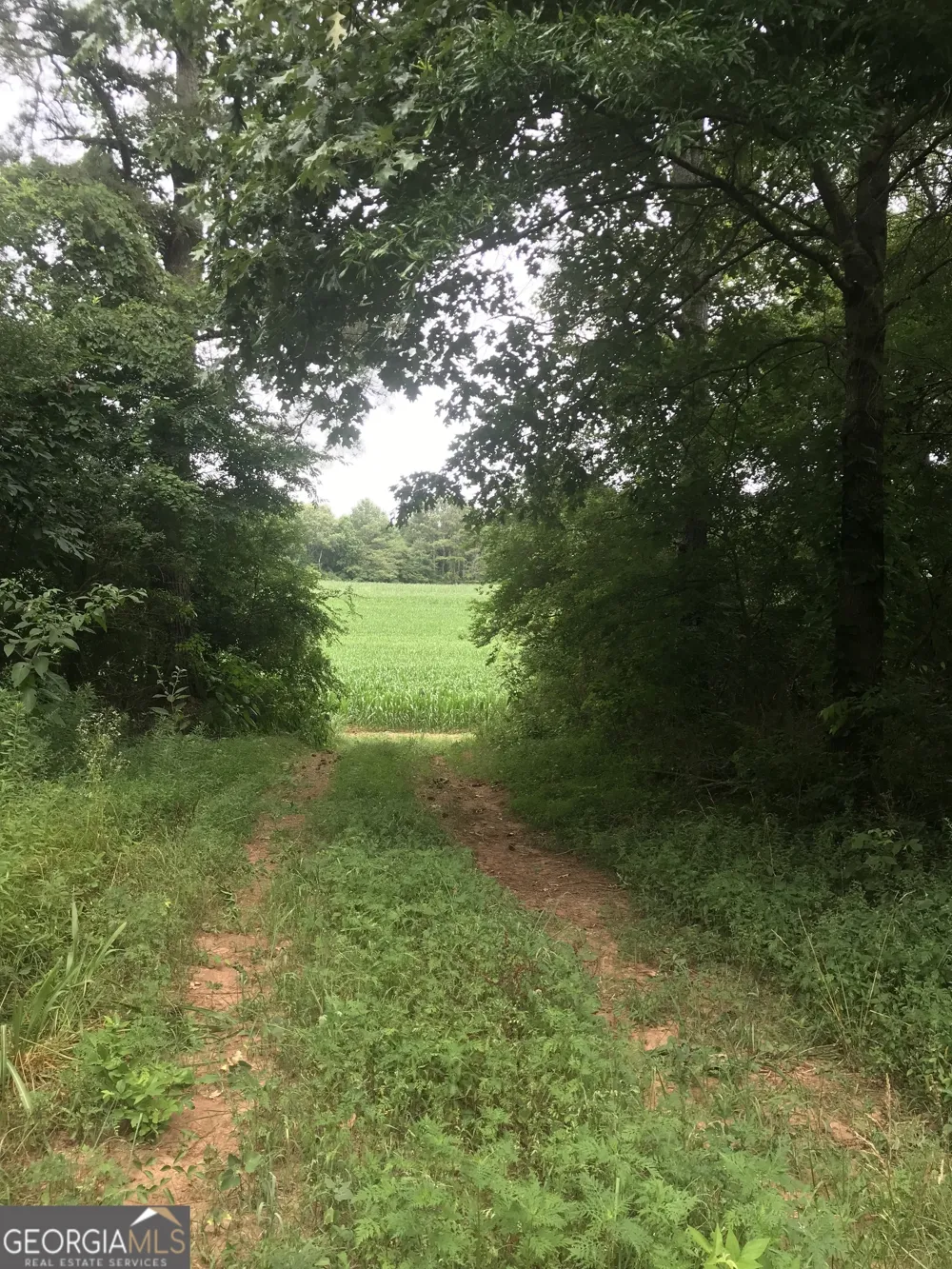 0 Cleveland Hwy Cohutta, GA 30710