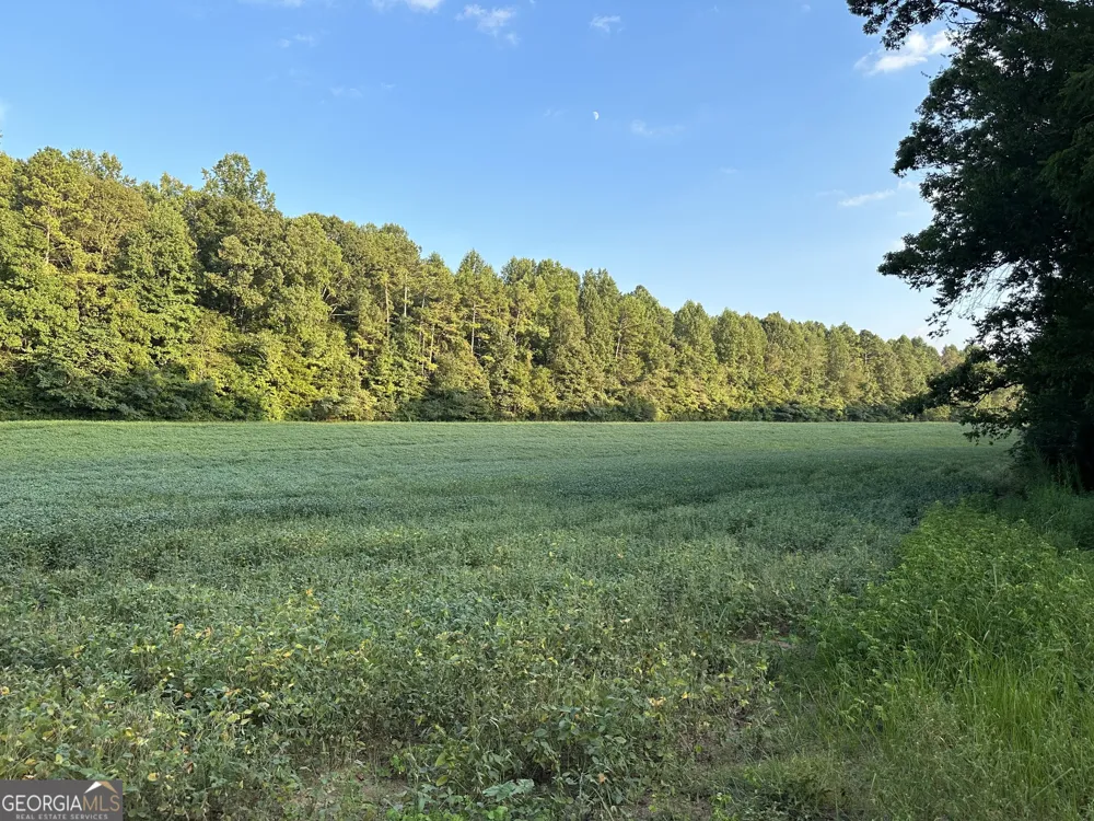 0 Cleveland Hwy Cohutta, GA 30710