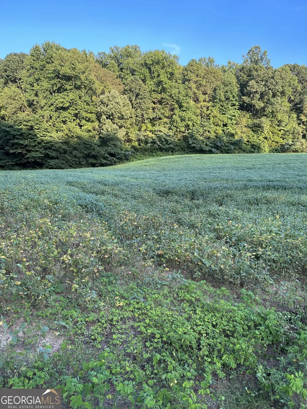 0 Cleveland Hwy Cohutta, GA 30710