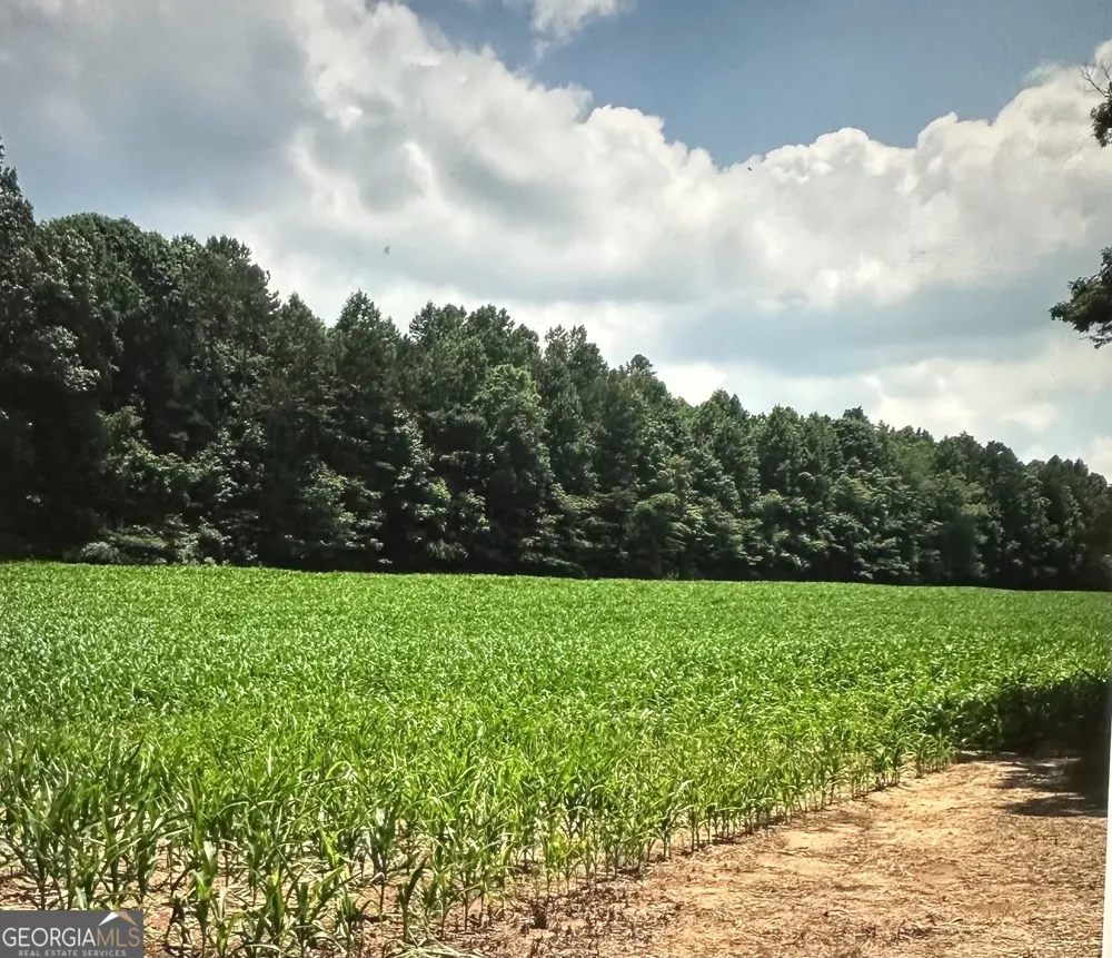 0 Cleveland Hwy Cohutta, GA 30710