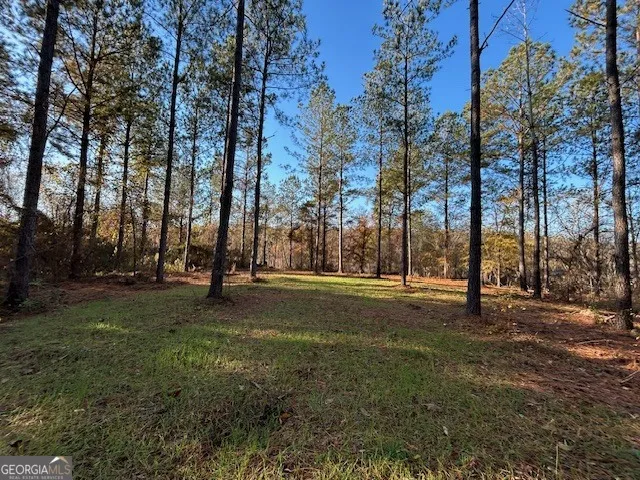 3312 Hunts Chapel RD Sparta, GA 31087