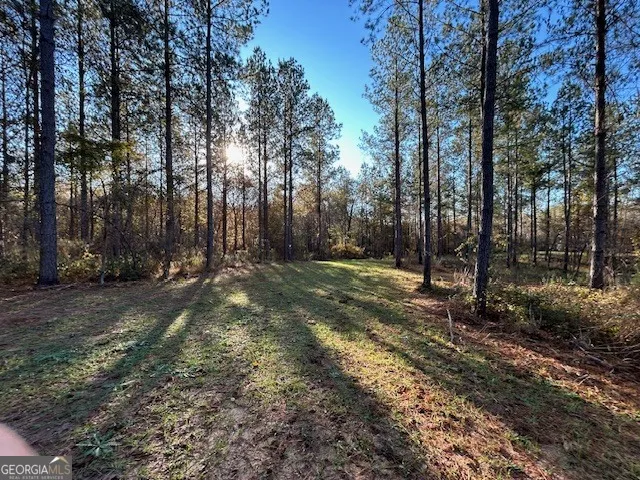 3312 Hunts Chapel RD Sparta, GA 31087