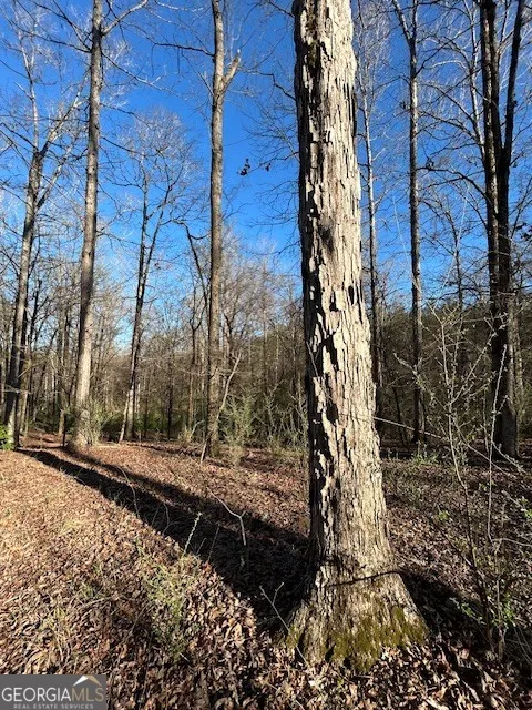 3312 Hunts Chapel RD Sparta, GA 31087