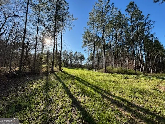 3312 Hunts Chapel RD Sparta, GA 31087