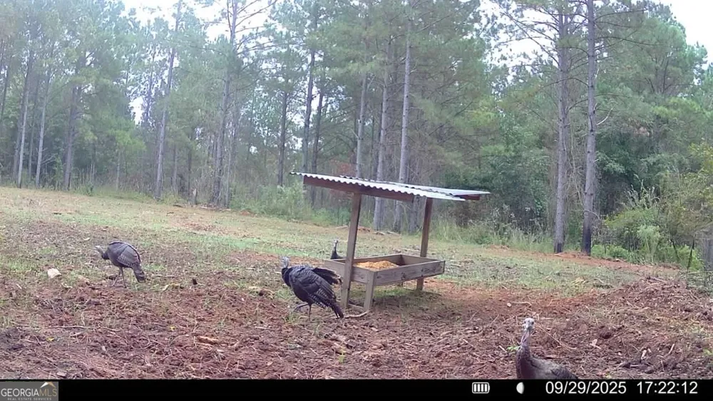 3312 Hunts Chapel RD Sparta, GA 31087