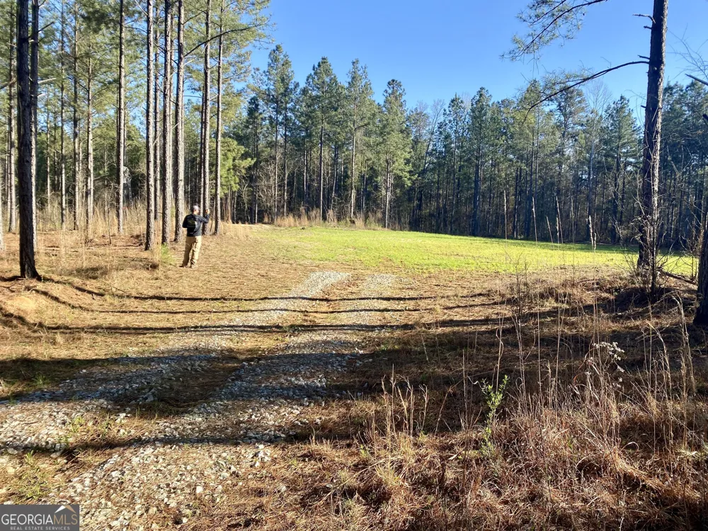 3312 Hunts Chapel RD Sparta, GA 31087