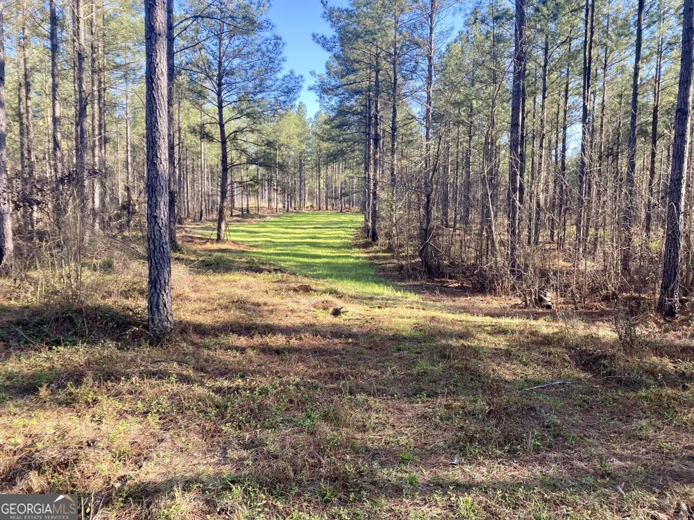 3312 Hunts Chapel RD Sparta, GA 31087