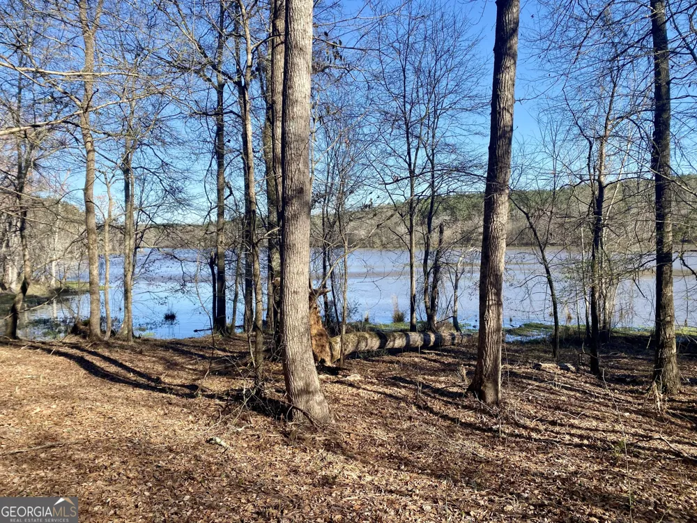 3312 Hunts Chapel RD Sparta, GA 31087