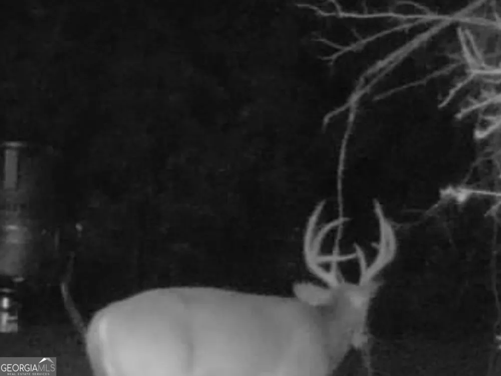 3312 Hunts Chapel RD Sparta, GA 31087