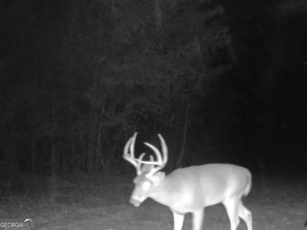 3312 Hunts Chapel RD Sparta, GA 31087
