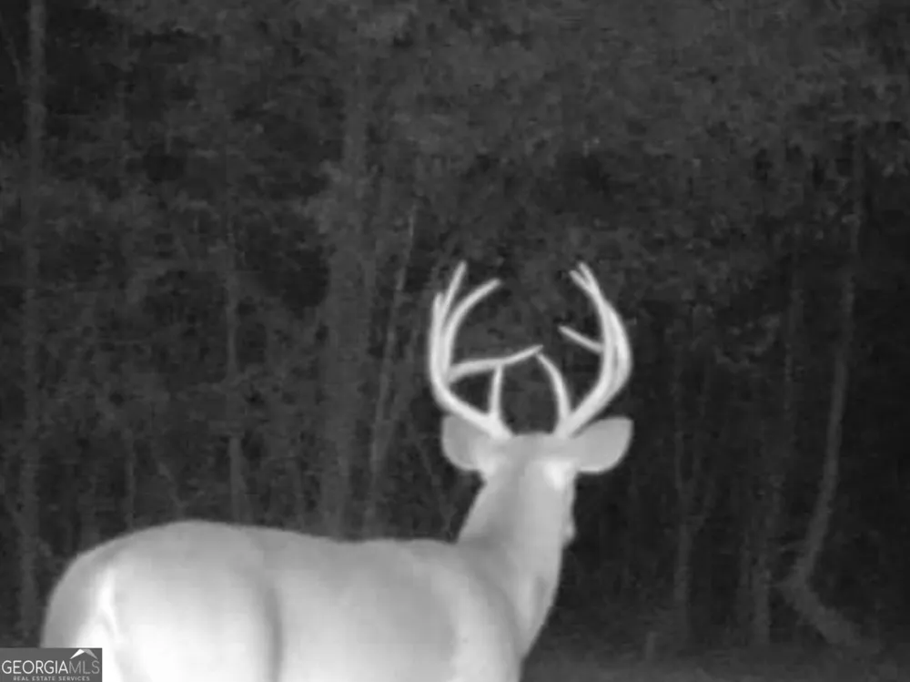 3312 Hunts Chapel RD Sparta, GA 31087