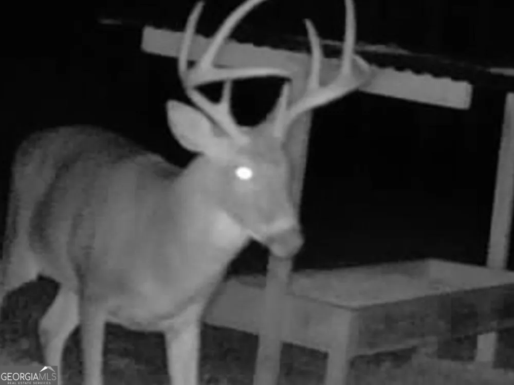 3312 Hunts Chapel RD Sparta, GA 31087