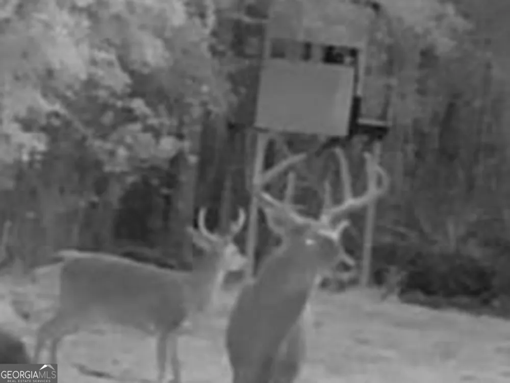 3312 Hunts Chapel RD Sparta, GA 31087