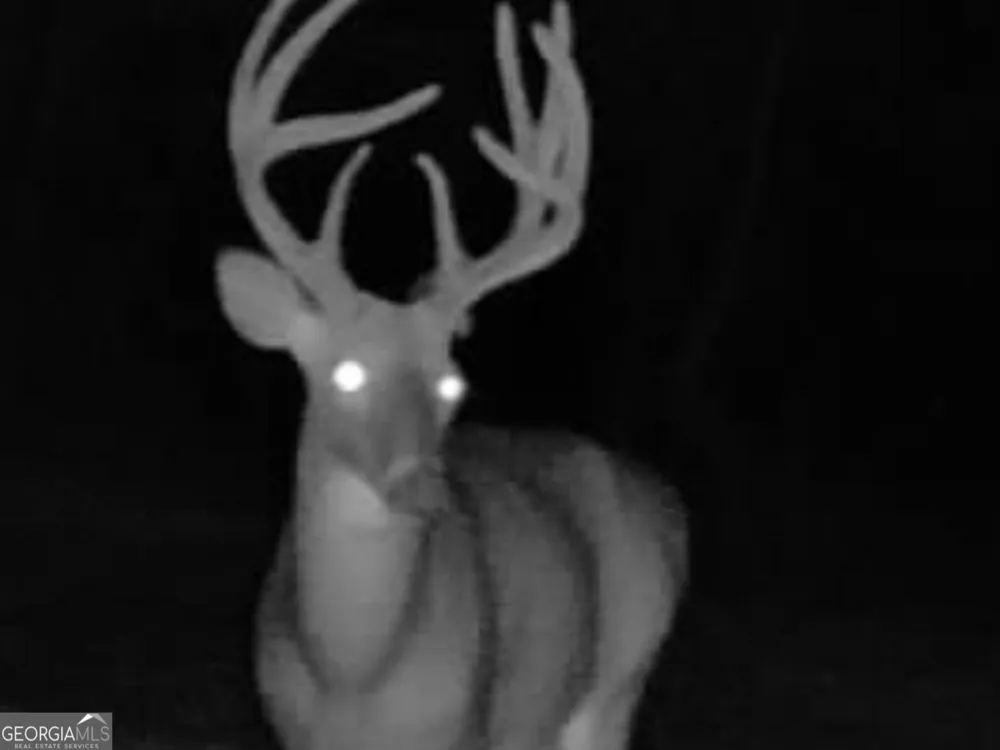 3312 Hunts Chapel RD Sparta, GA 31087