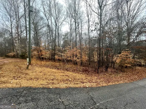 LOT 942 Birdie CT