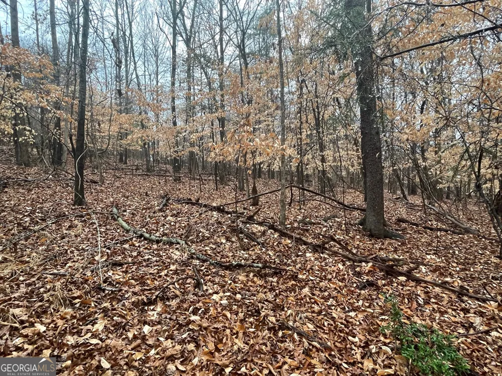 LOT 942 Birdie CT Westminster, SC 29693