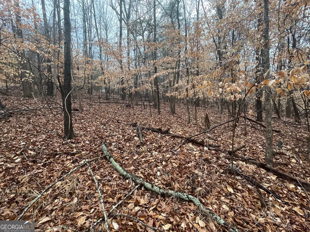 LOT 942 Birdie CT Westminster, SC 29693