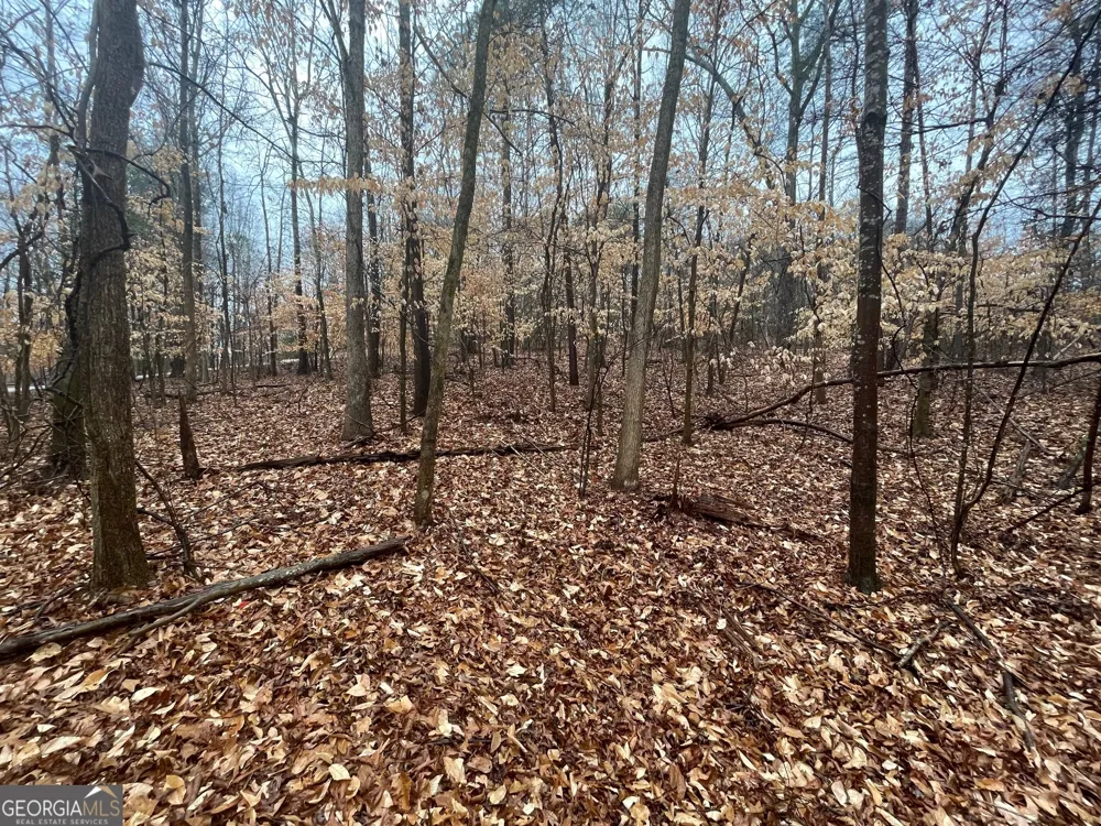 LOT 942 Birdie CT Westminster, SC 29693