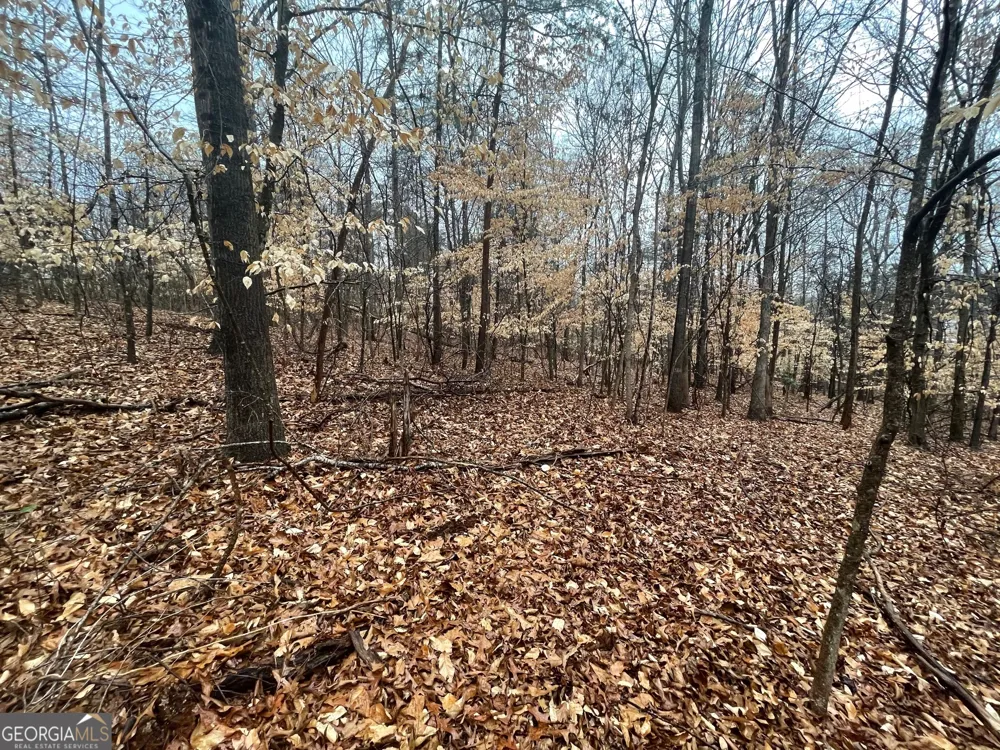 LOT 942 Birdie CT Westminster, SC 29693