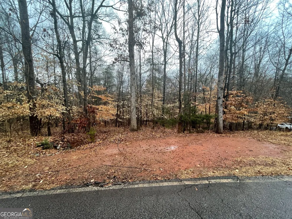 LOT 942 Birdie CT Westminster, SC 29693