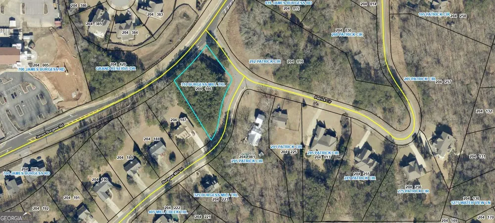310 Burgess Mill TRL Suwanee, GA 30024