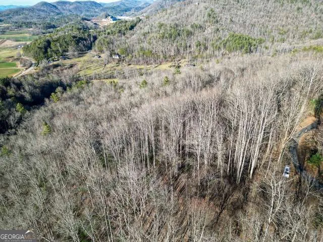 0 Chestnut Mountain DR Rabun Gap, GA 30568