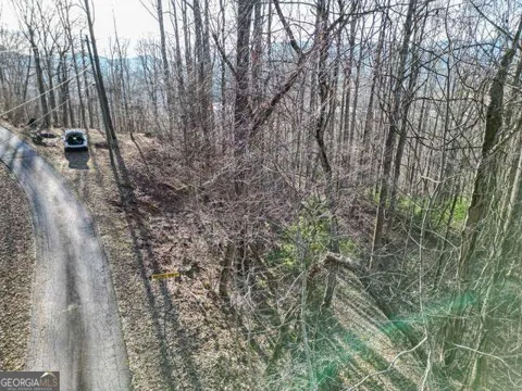 0 Chestnut Mountain DR