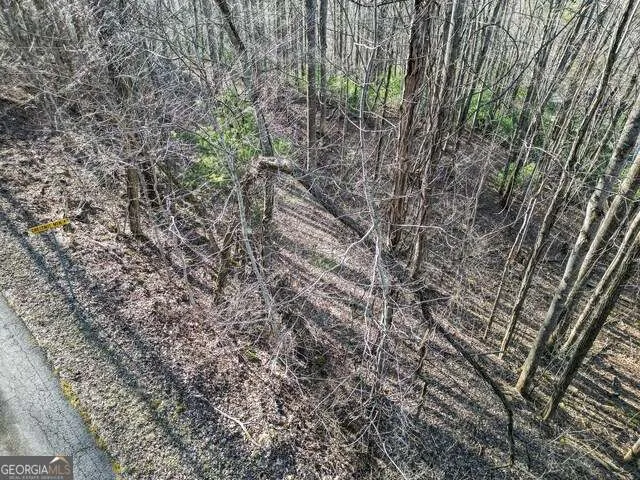 0 Chestnut Mountain DR Rabun Gap, GA 30568