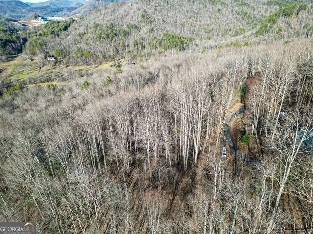 0 Chestnut Mountain DR Rabun Gap, GA 30568