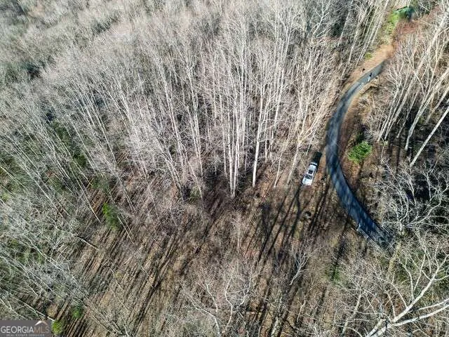 0 Chestnut Mountain DR Rabun Gap, GA 30568