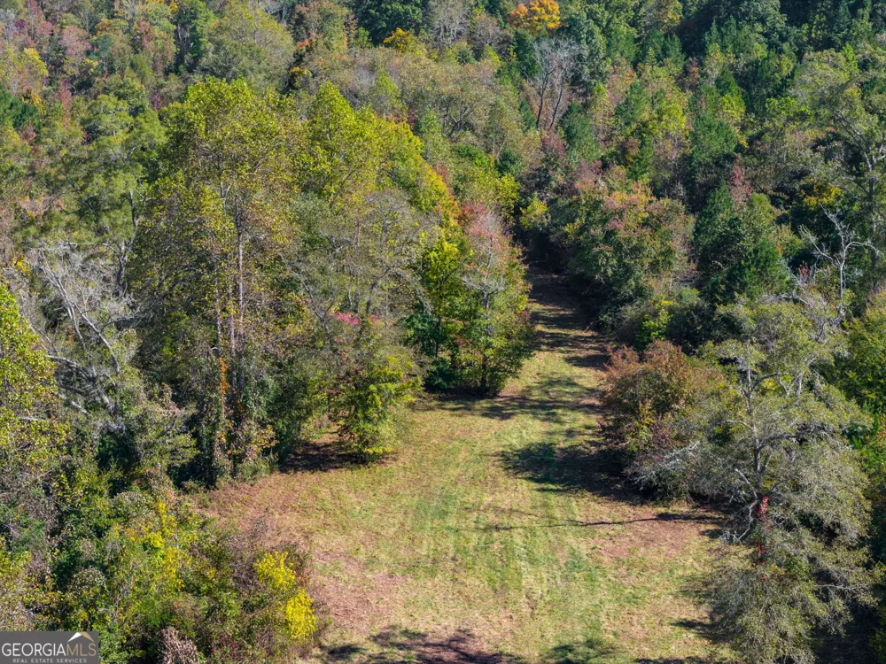 340 Noles RD Franklin, GA 30217