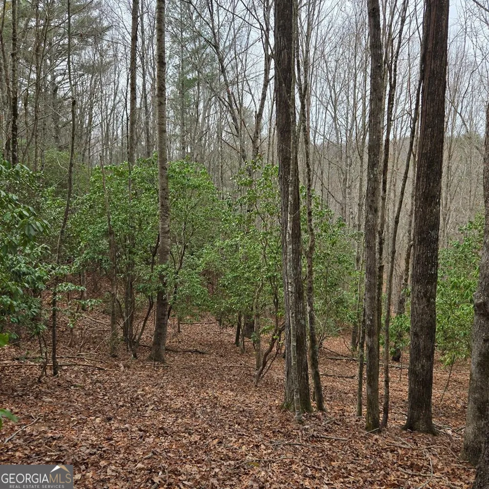 8.5 Blue Berry RDG Morganton, GA 30560