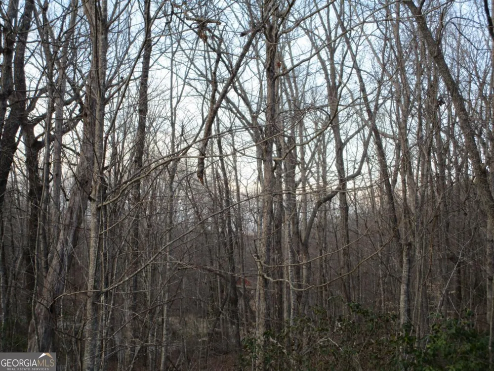 LOT 21 Long Mountain TRL Cleveland, GA 30528