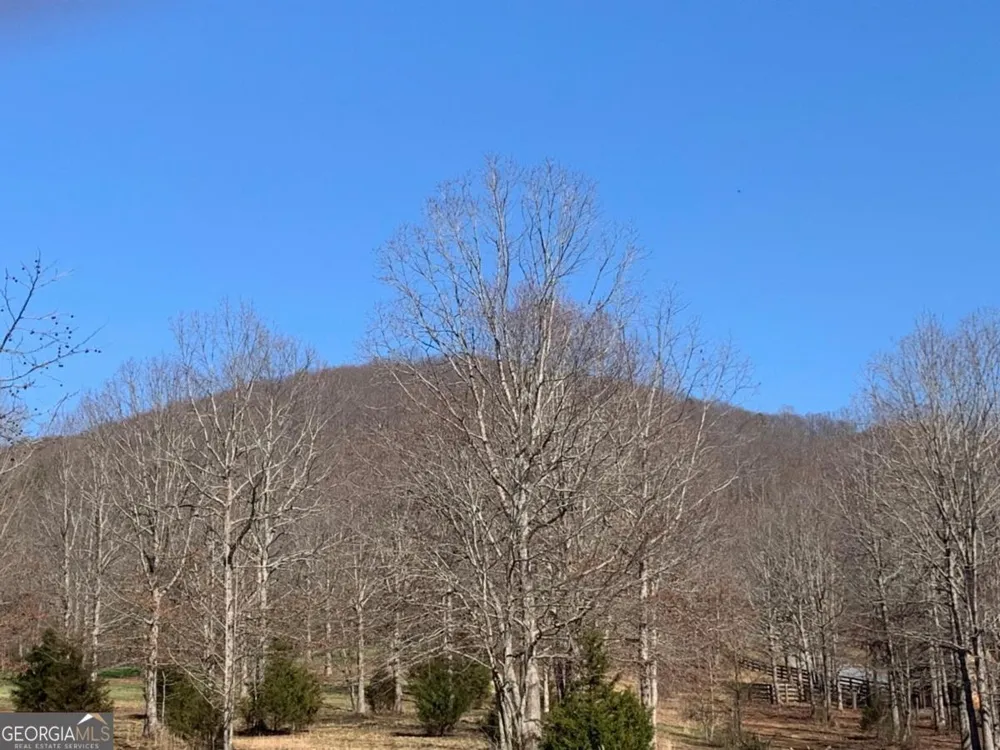 LOT 21 Long Mountain TRL Cleveland, GA 30528