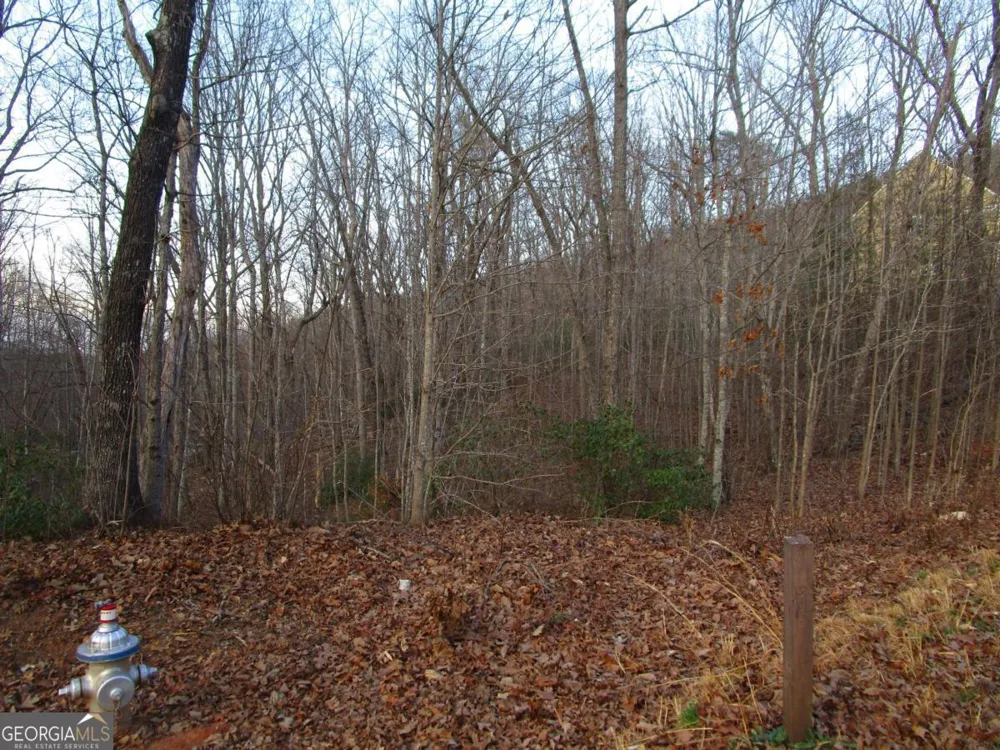 LOT 21 Long Mountain TRL Cleveland, GA 30528