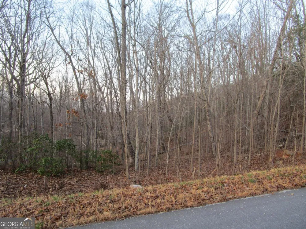 LOT 21 Long Mountain TRL Cleveland, GA 30528