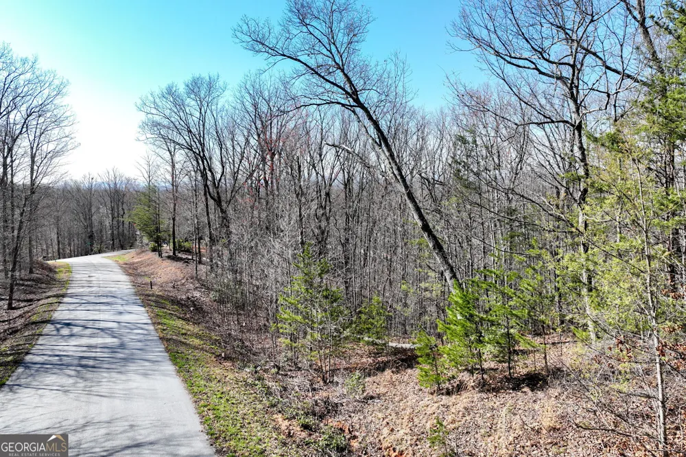 LOT 21 Long Mountain TRL Cleveland, GA 30528