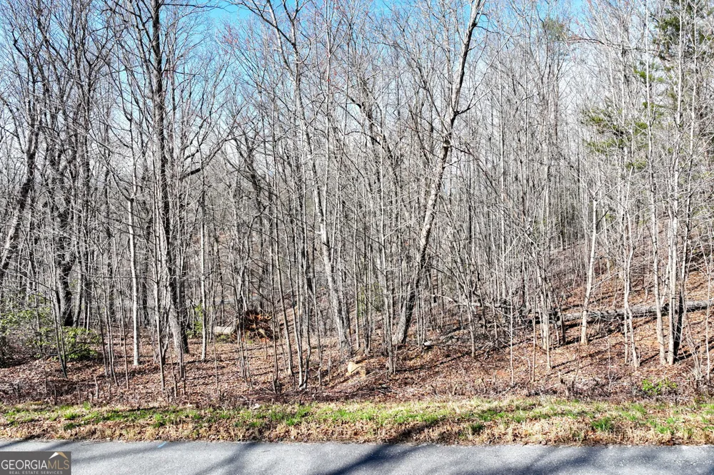 LOT 21 Long Mountain TRL Cleveland, GA 30528