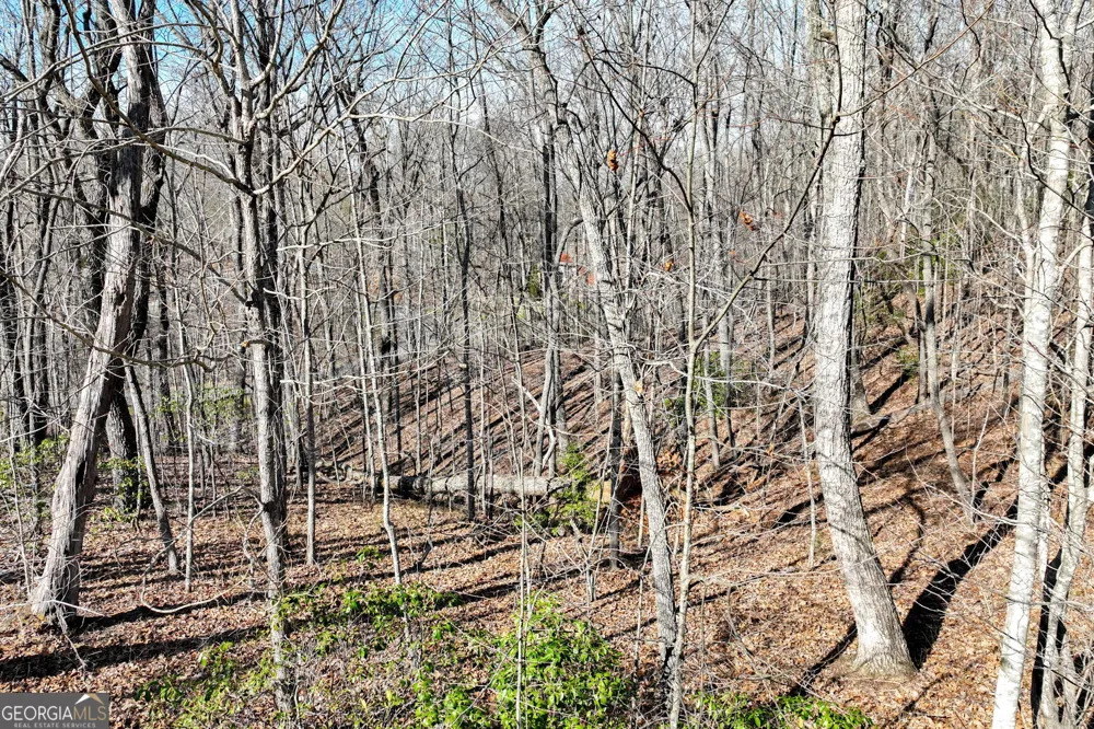 LOT 21 Long Mountain TRL Cleveland, GA 30528