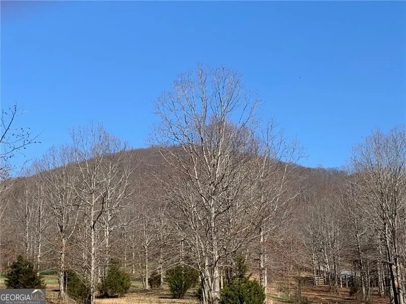 LOT 24 Long Mountain TRL Cleveland, GA 30528