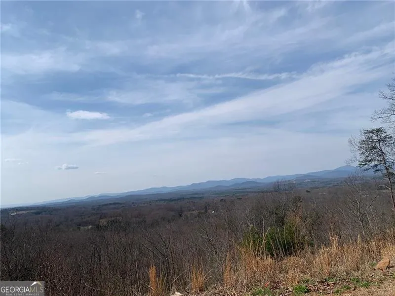 LOT 24 Long Mountain TRL Cleveland, GA 30528