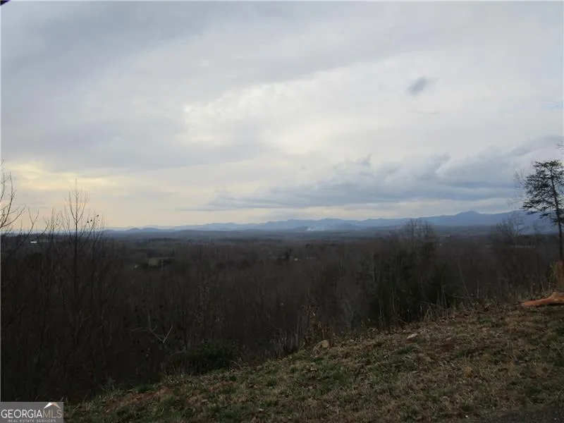 LOT 24 Long Mountain TRL Cleveland, GA 30528