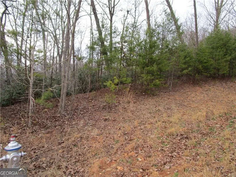 LOT 24 Long Mountain TRL Cleveland, GA 30528