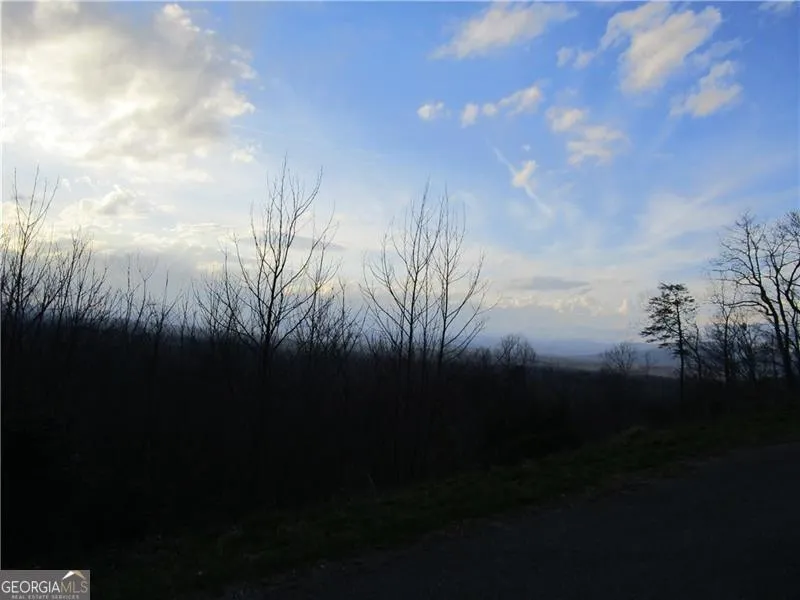 LOT 24 Long Mountain TRL Cleveland, GA 30528