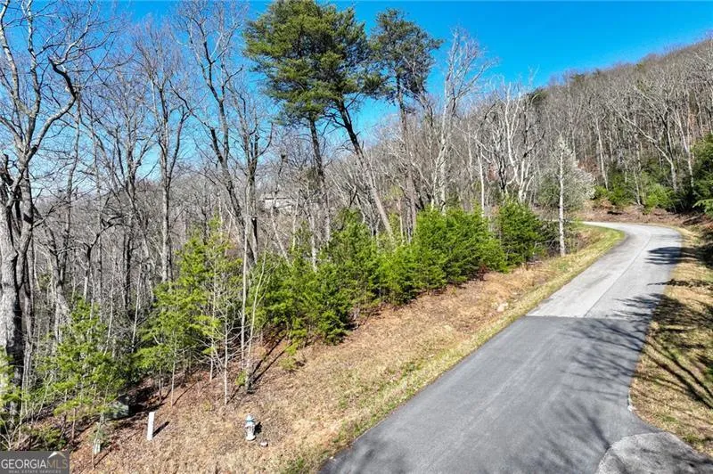 LOT 24 Long Mountain TRL Cleveland, GA 30528