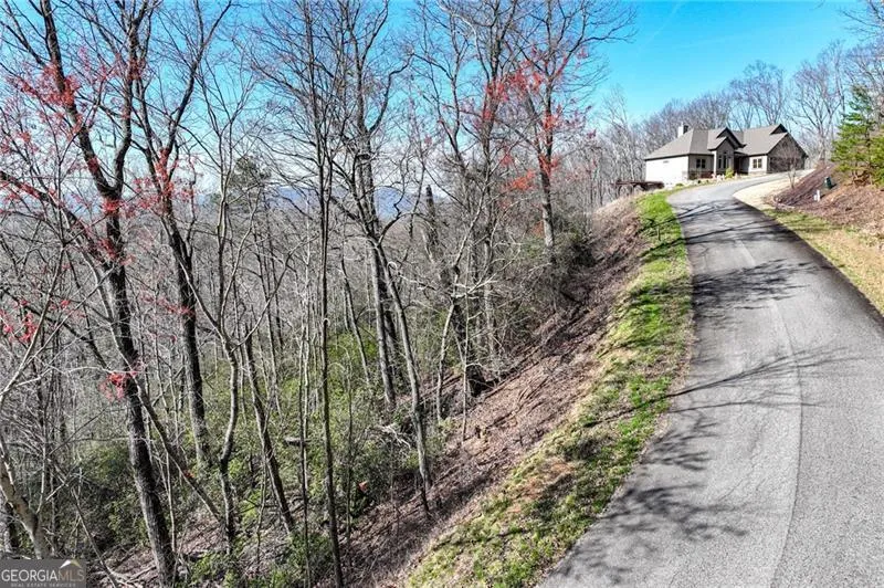 LOT 24 Long Mountain TRL Cleveland, GA 30528